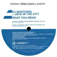 dj-santorini-jack-in-the-city-what-you-mean_image_1