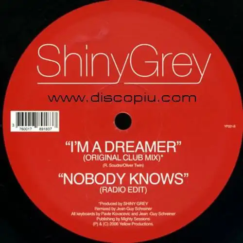 shiny-grey-i-m-a-dreamer-b-w-nobody-knows