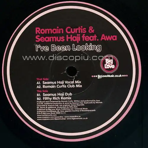 romain-curtis-seamus-haji-feat-awa-i-ve-been-looking_medium_image_1