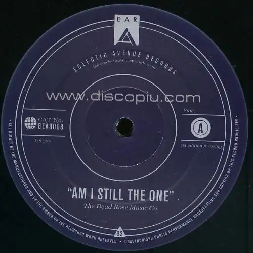 the-dead-rose-music-company-am-i-still-the-one_medium_image_1