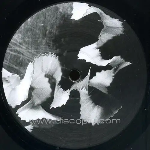 vinalog-off-centre-ltd-vinyl-only-release_medium_image_2