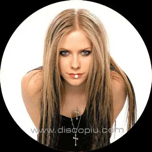 avril-lavigne-what-the-hell_medium_image_4