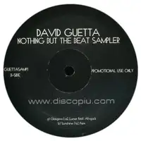 david-guetta-nothing-but-the-beat-sampler