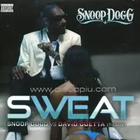 snoop-dogg-vs-david-guetta-sweat-remix