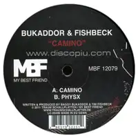 bukaddor-fishbeck-camino-b-w-physx