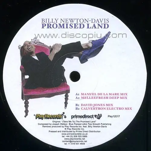 billy-newton-davis-promised-land_medium_image_1