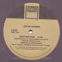 stevie-wonder-as-b-w-another-star-coloured-vinyl_image_2