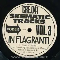 in-flagranti-skematic-tracks-vol-3_image_1