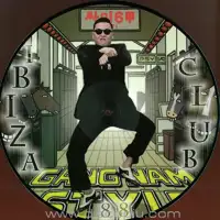 psy-gangnam-style-ibiza-club-88_image_1