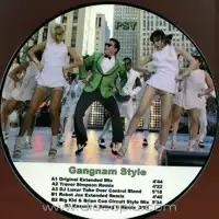 psy-gangnam-style-ibiza-club-88_image_2