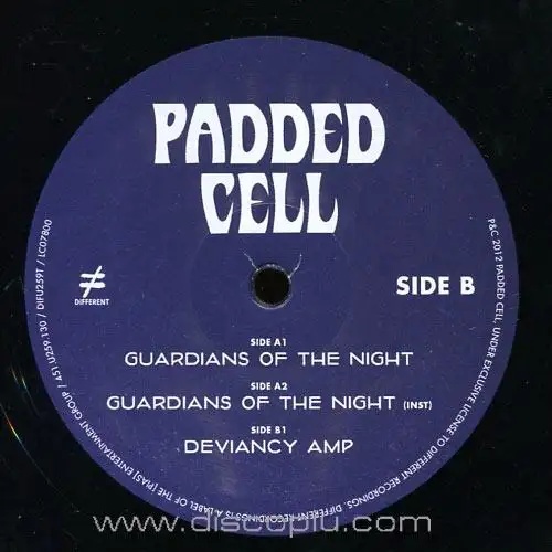 padded-cell-guardians-of-the-night_medium_image_1