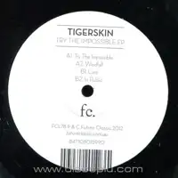tigerskin-try-the-impossible-e-p_image_1