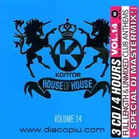v-a-house-of-house-vol-14
