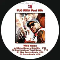 flo-rida-feat-sia-wild-ones-ibiza-club-83_image_2