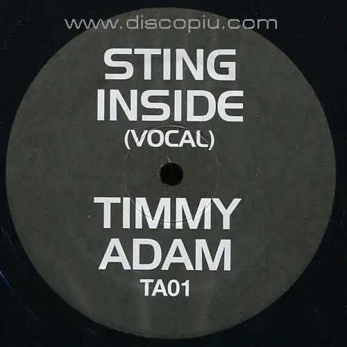 sting-inside-timmy-regisford-adam-rios-remix_medium_image_1