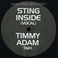 sting-inside-timmy-regisford-adam-rios-remix
