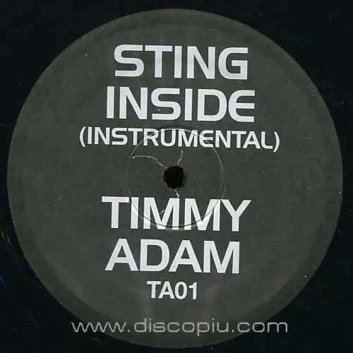 sting-inside-timmy-regisford-adam-rios-remix_medium_image_2