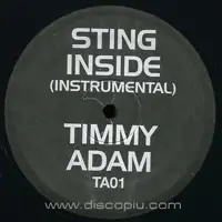 sting-inside-timmy-regisford-adam-rios-remix_image_2