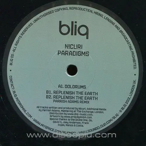 nicuri-paradigms_medium_image_1