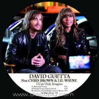 david-guetta-feat-chris-brown-lil-wayne-i-can-only-imagine