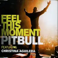 pitbull-feat-christina-aguilera-feel-this-moment