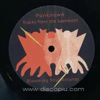 punknown-tracks-from-the-basement