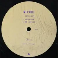 nicuri-outflight