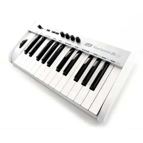esi-key-control-25-xt_medium_image_2