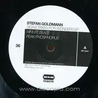 stefan-goldmann-signs-taken-for-wonders