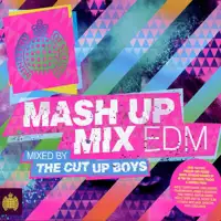 v.a. - ministry of sound pres. mash up mix edm 2014 house electro ...