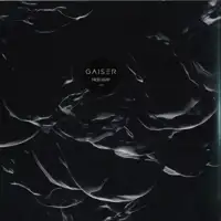 gaiser-false-light-2x12-lp