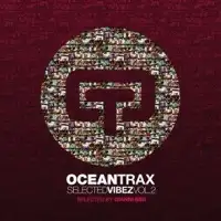 v-a-selected-by-gianni-bini-ocean-trax-records-presents-selected-vibez-vol-2
