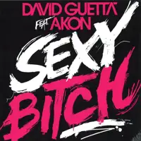 david-guetta-feat-akon-sexy-bitch