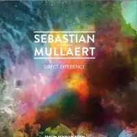 sebastian-mullaert-direct-experience