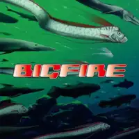 bigfire-etoile