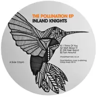 inland-knights-the-pollination-ep