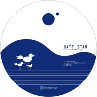 matt-star-guitars-birds