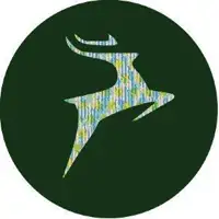 seka-first-forest-ep
