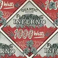 quantic-presenta-flowering-inferno-1000-watts