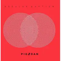 pig-dan-modular-baptism-2x12-lp