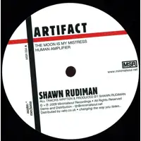 shawn-rudiman-artifact