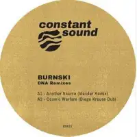 burnski-dna-remixes-including-mandar-diego-krause-remixes