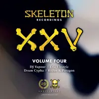 various-artists-skeleton-xxv-project-volume-four