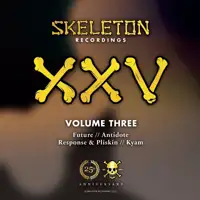 various-artists-skeleton-xxv-project-volume-three