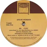 stevie-wonder-as-another-star