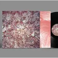 design-default-dawn-chorus-lp