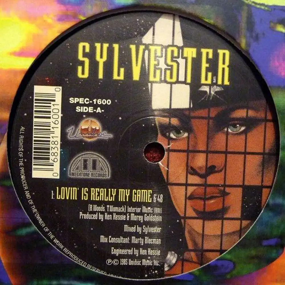 sylvester / patrick cowley - invasion / mind warp / lovin is really my game  pop disco alternative - Disco Più