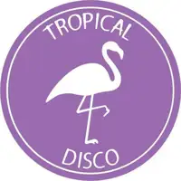 various-artists-tropical-disco-edits-vol-2_image_1
