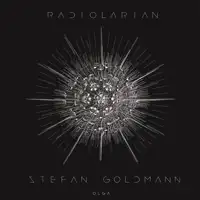 stefan-goldmann-radiolarian