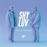shy-love-shock-horror-incl-detroit-swindle-remixes